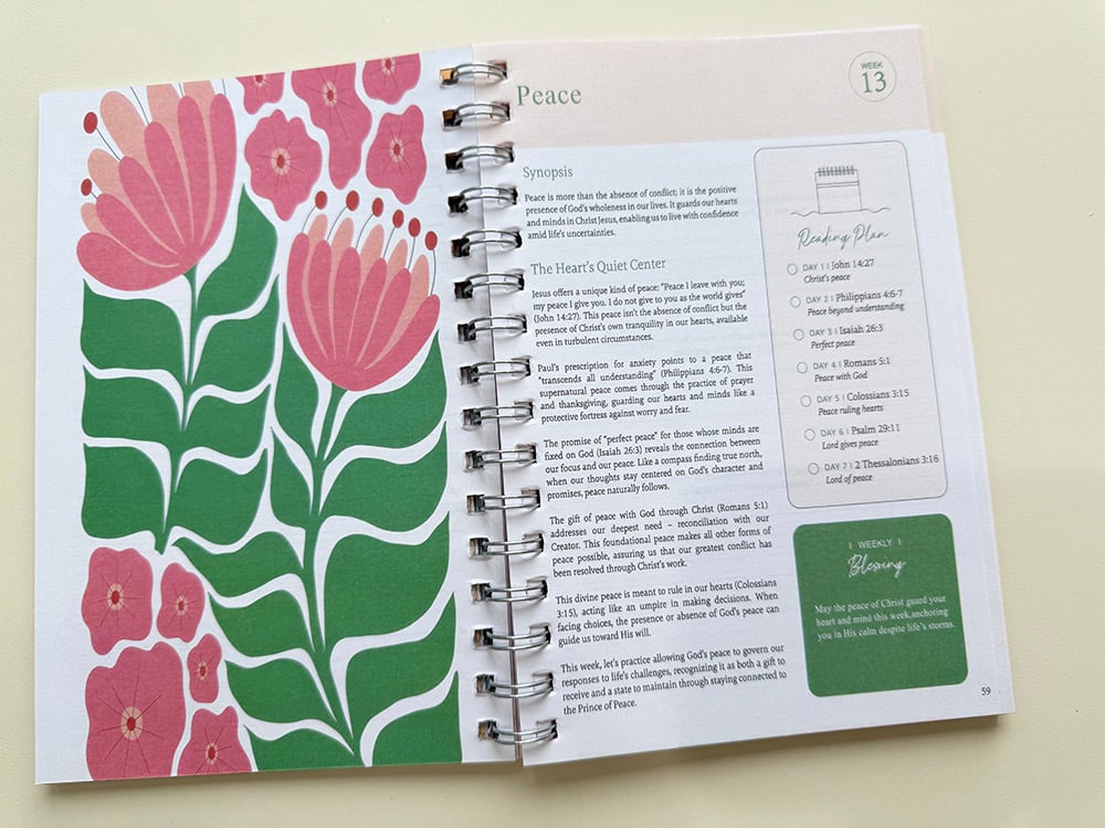 PREORDER: The Bible in One Year! 12.1.25