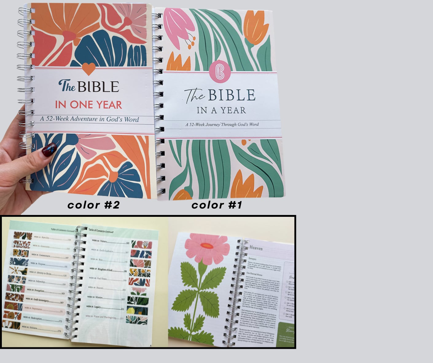 PREORDER: The Bible in One Year! 12.1.25