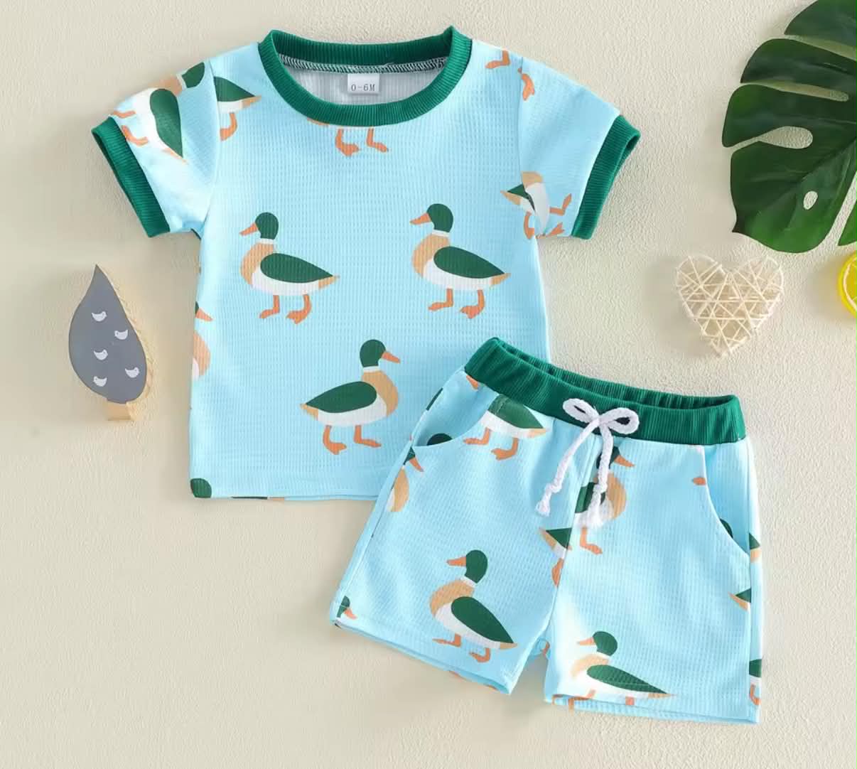 PREORDER: Mallard Duck set  5.26.26 osym
