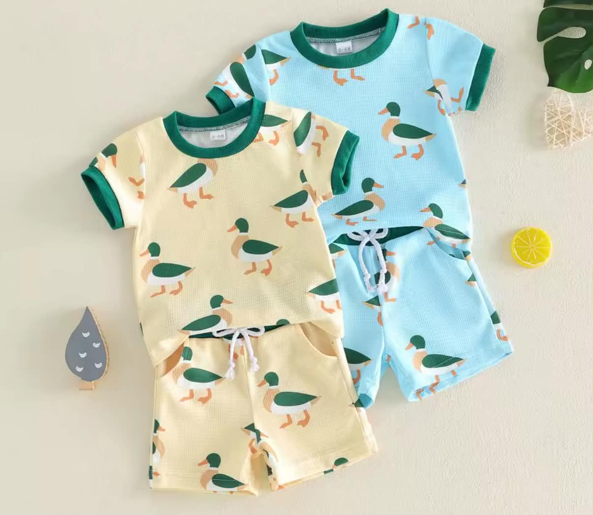 PREORDER: Mallard Duck set  5.26.26 osym