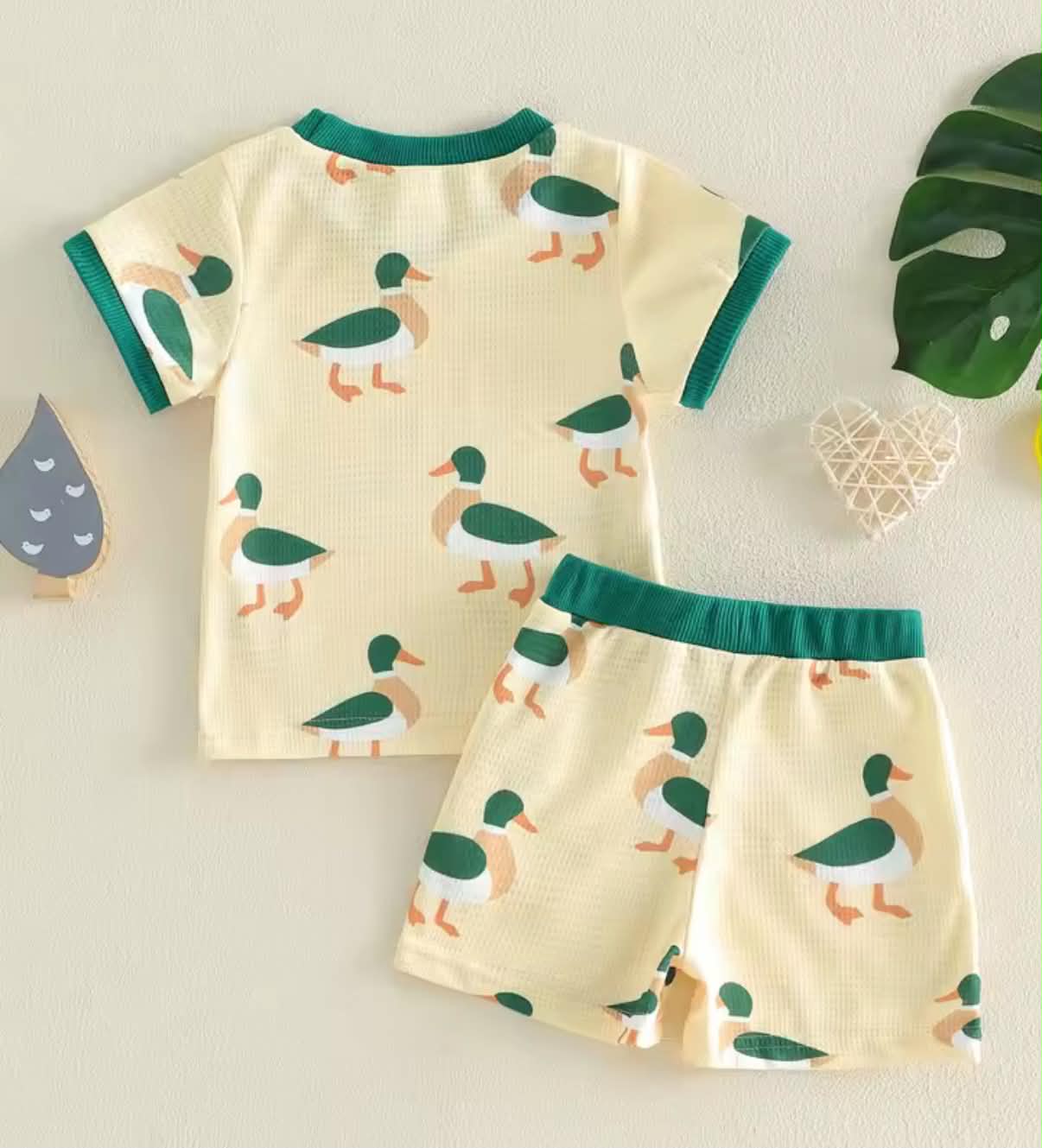 PREORDER: Mallard Duck set  5.26.26 osym