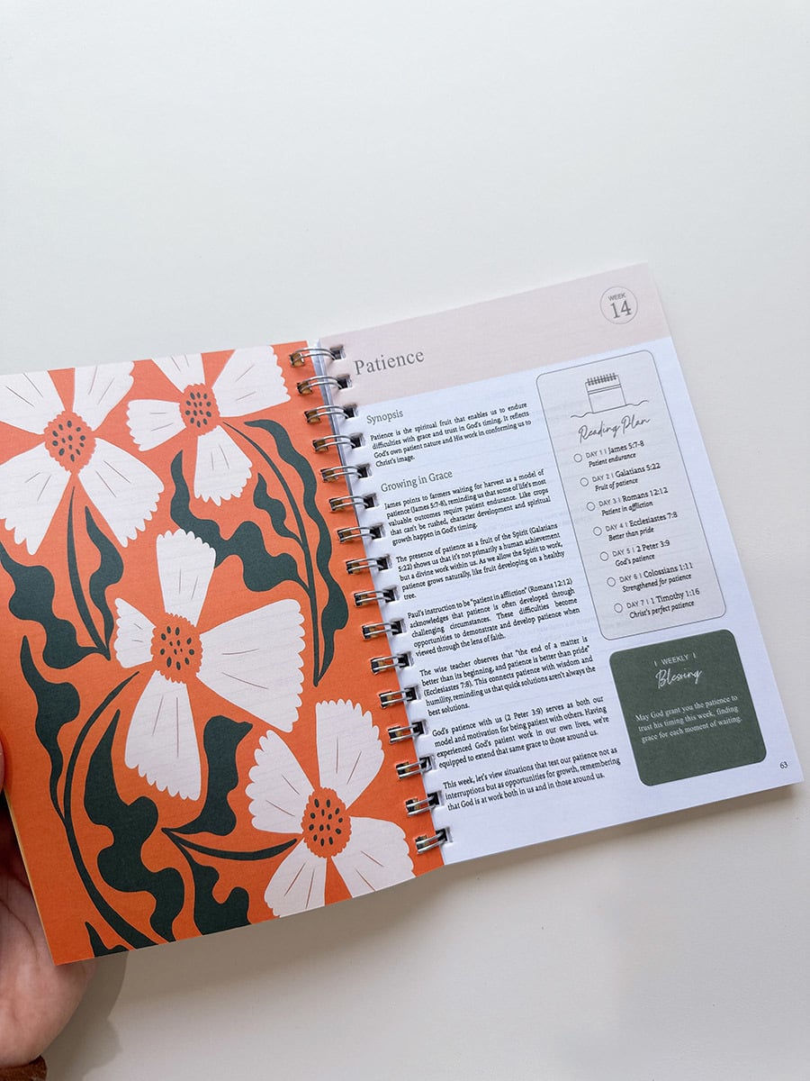 PREORDER: The Bible in One Year! 12.1.25