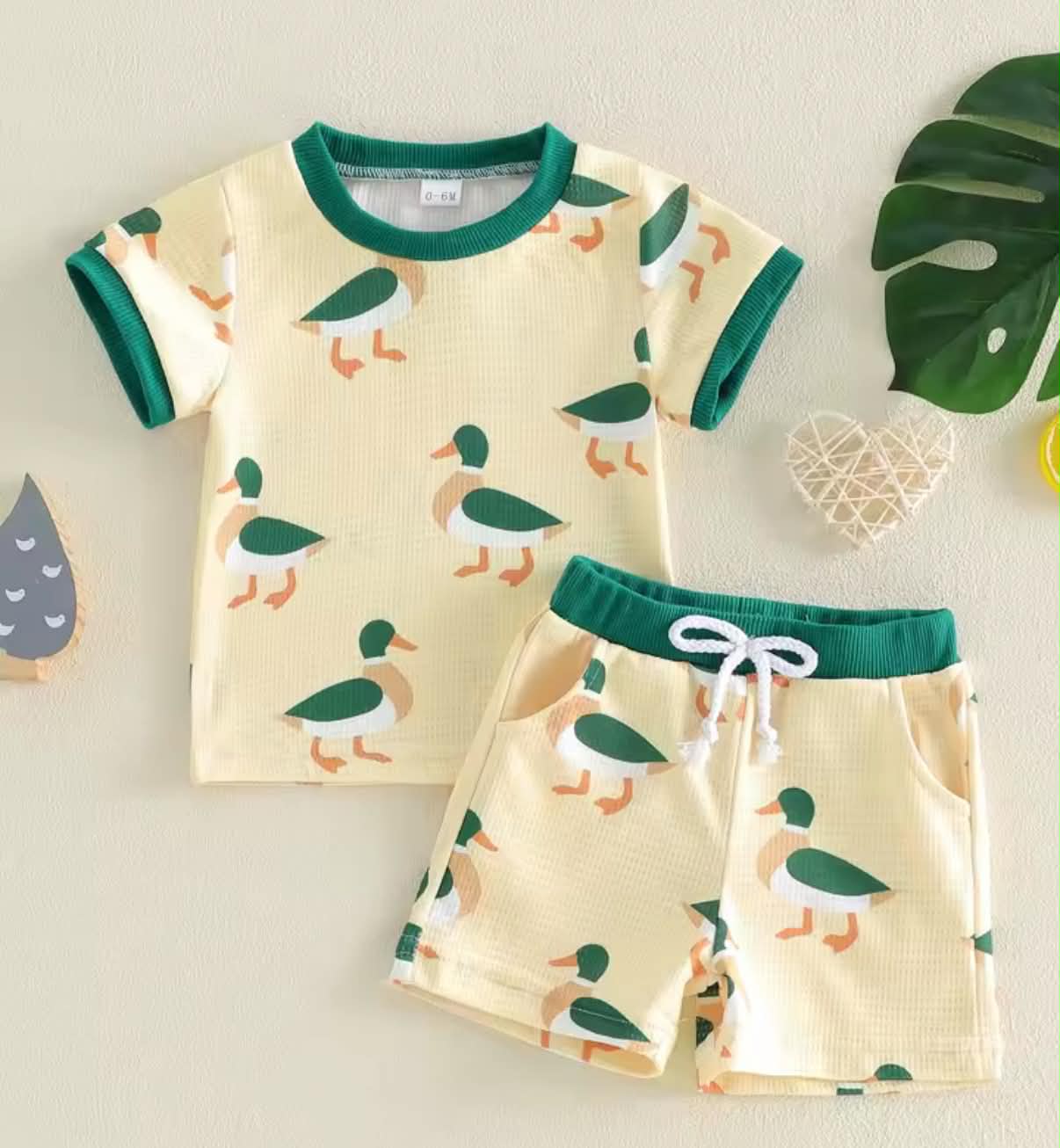 PREORDER: Mallard Duck set  5.26.26 osym