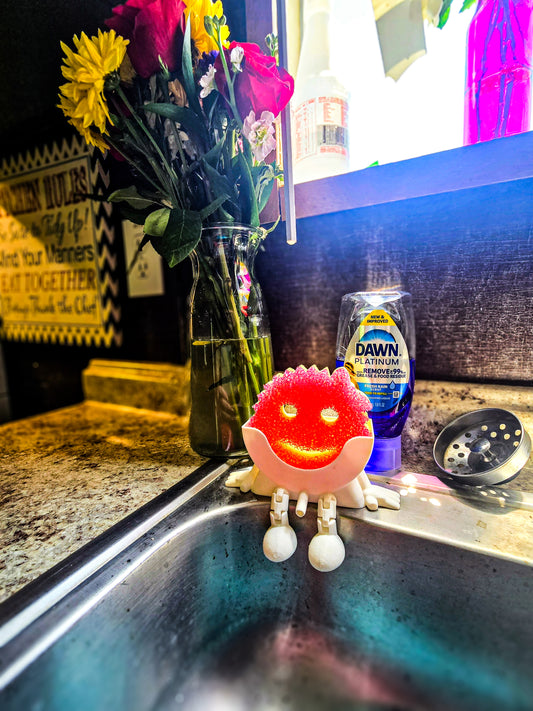 3d printed scrub daddy holder